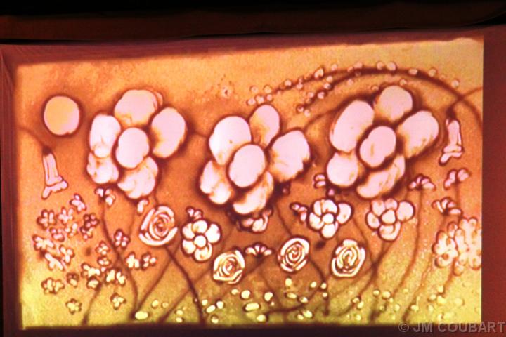 Diapositive suivante